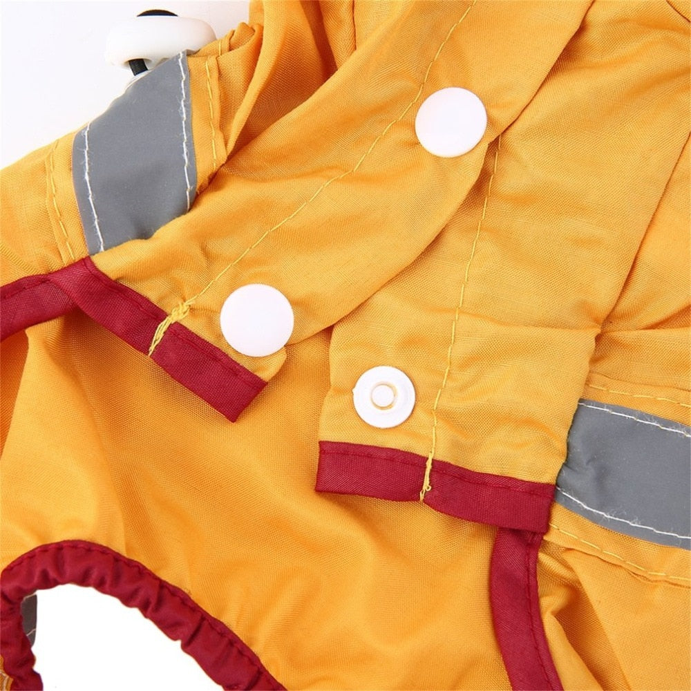 Raincoat